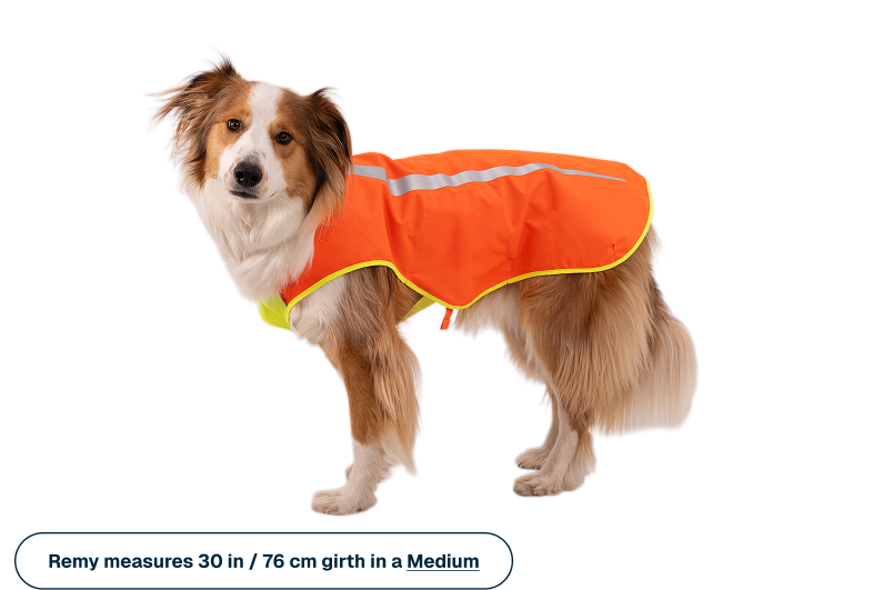 Lumenglow™ High-Vis Vest product image