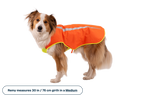 Lumenglow™ High-Vis Vest product image