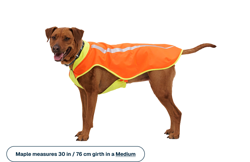 Lumenglow™ High-Vis Vest product image