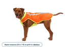 Lumenglow™ High-Vis Vest product image