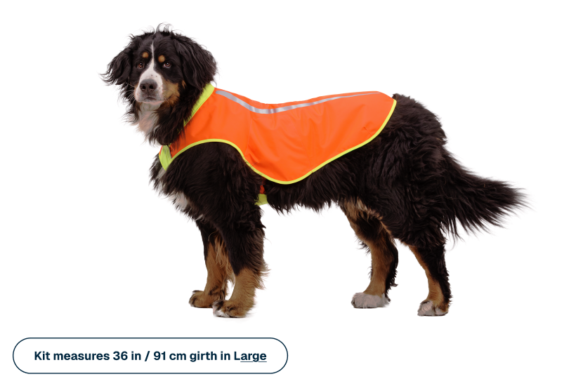 Lumenglow™ High-Vis Vest product image