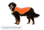 Lumenglow™ High-Vis Vest product image