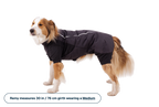 Powder Hound™ Waterproof Insulated Coverall product image
