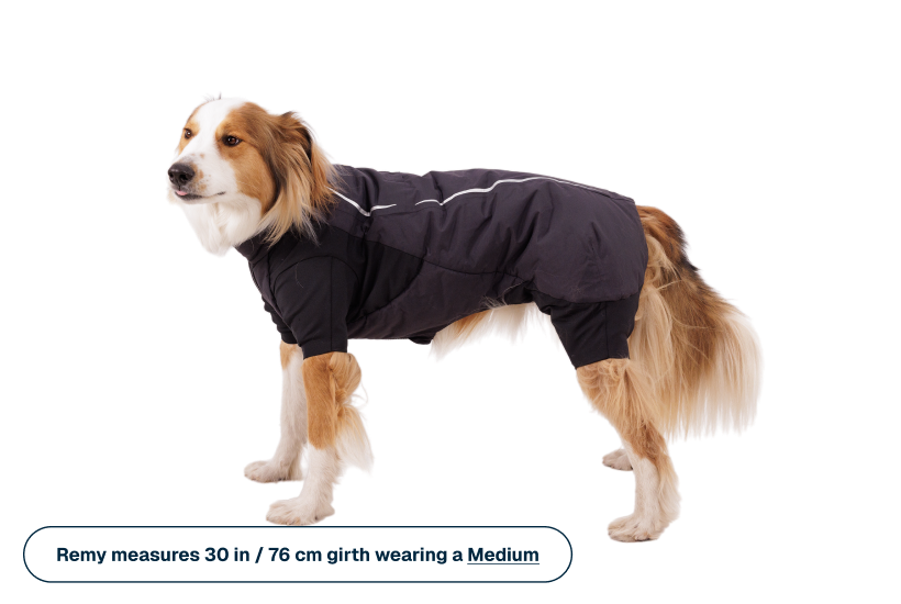 Powder Hound™ Waterproof Insulated Coverall product image