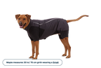 Powder Hound™ Waterproof Insulated Coverall product image