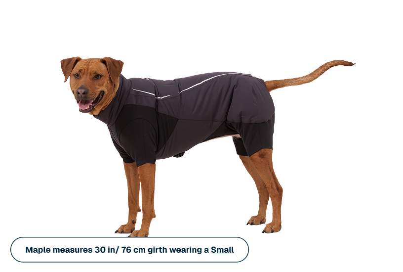 Powder Hound™ Waterproof Insulated Coverall product image