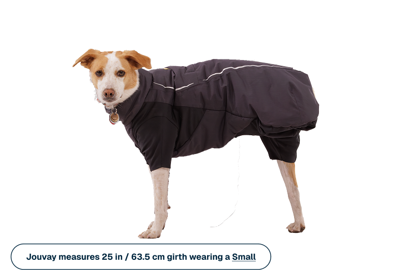 Powder Hound™ Waterproof Insulated Coverall product image