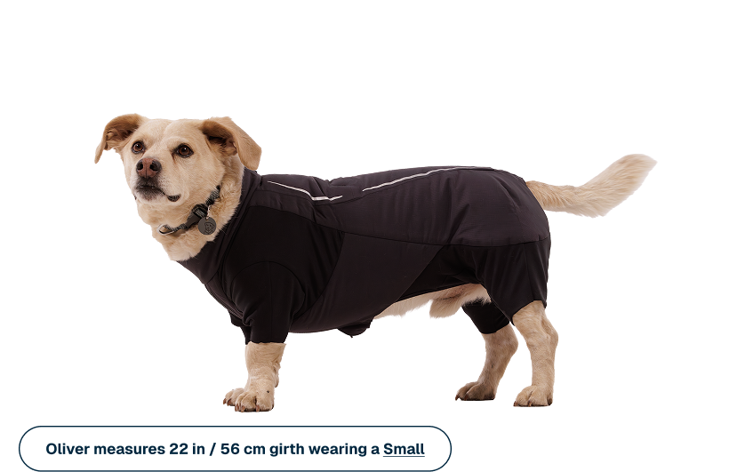 Powder Hound™ Waterproof Insulated Coverall product image