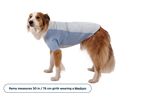 Powder Hound™ Waterproof Insulated Jacket product image