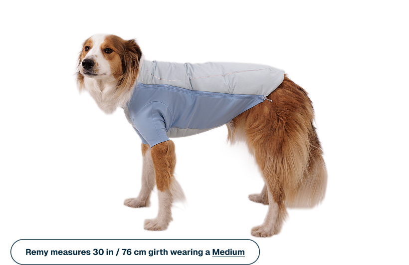 Powder Hound™ Waterproof Insulated Jacket product image
