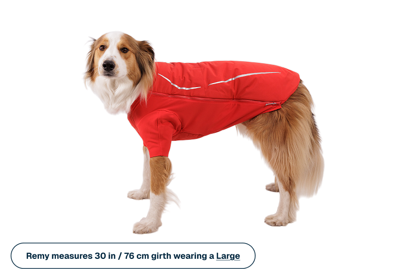 Powder Hound™ Waterproof Insulated Jacket product image