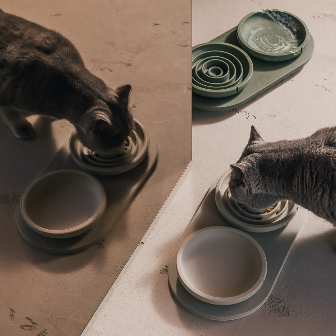 Tray for Cats product image