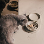 Slow Feeder Bowl for Cats product image