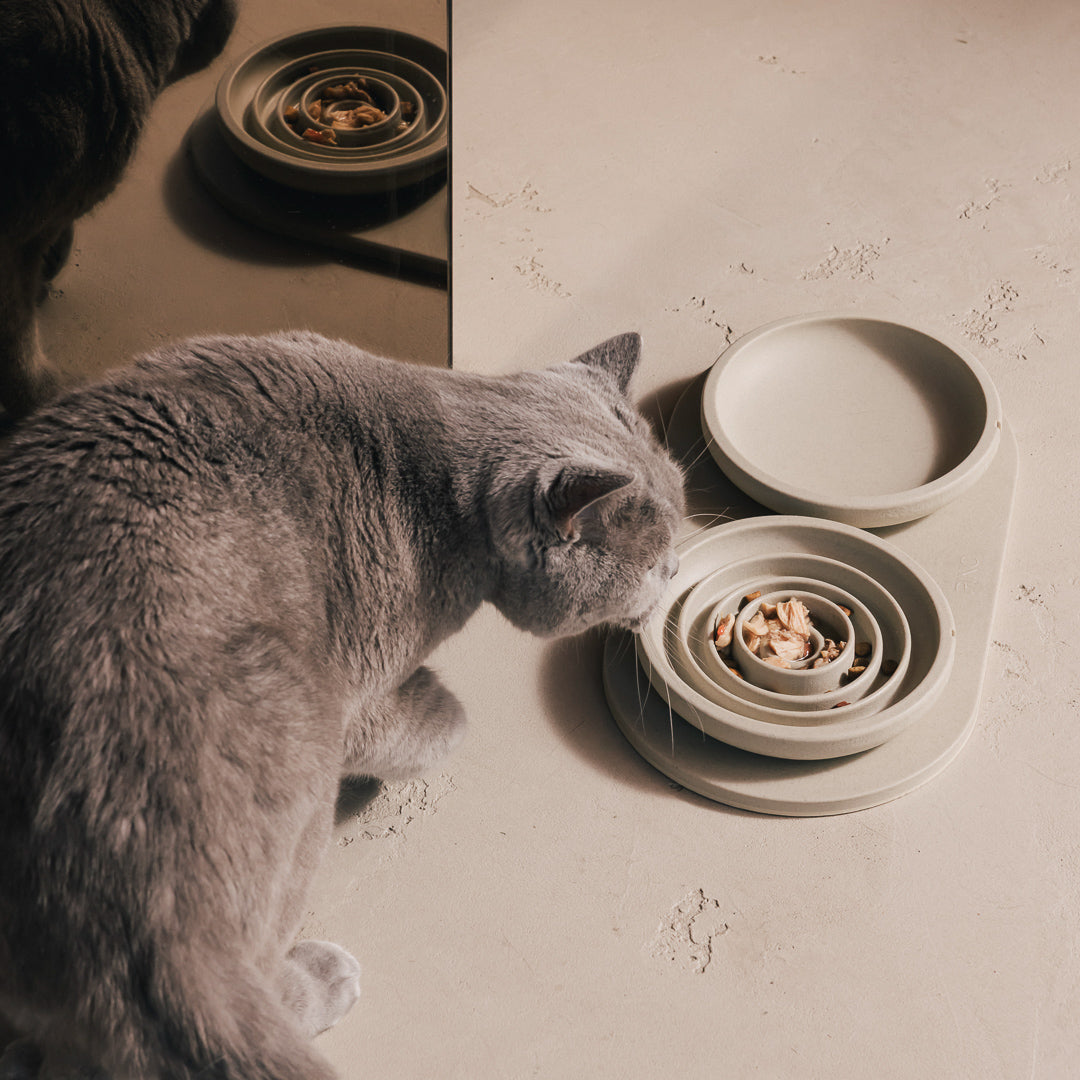 Slow Feeder Bowl for Cats product image