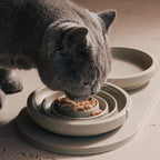 Tray for Cats product image