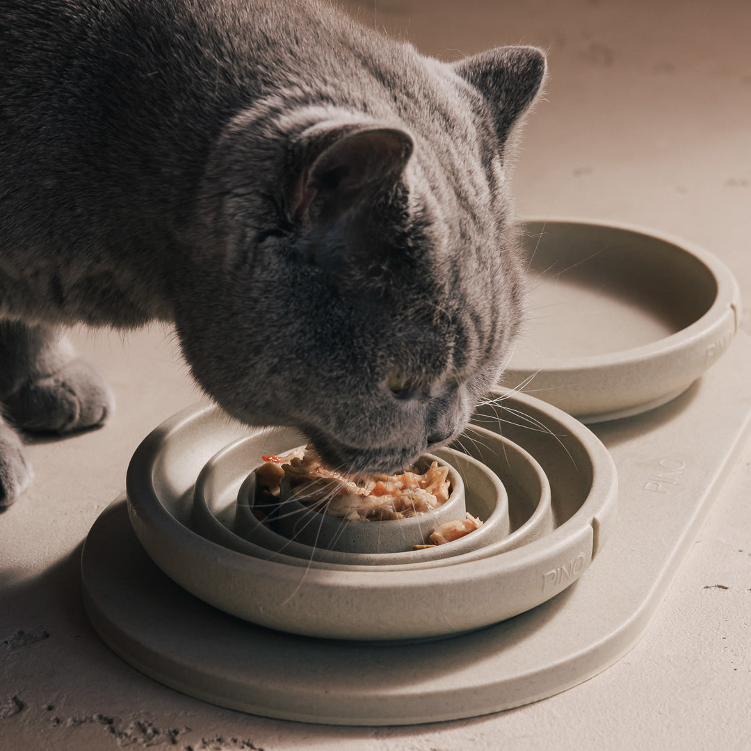 Slow Feeder Bowl for Cats product image