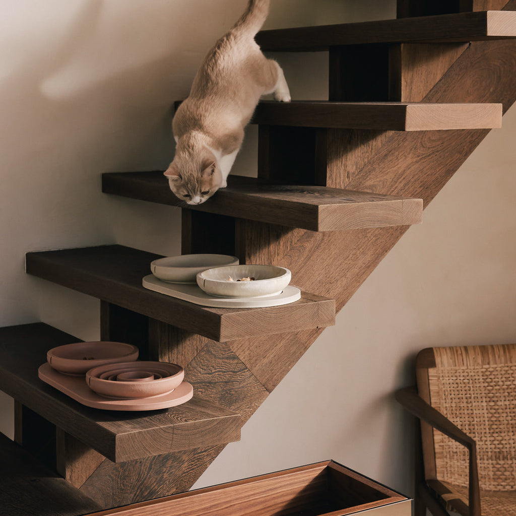 Tray for Cats product image