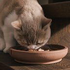 Slow Feeder Bowl for Cats product image