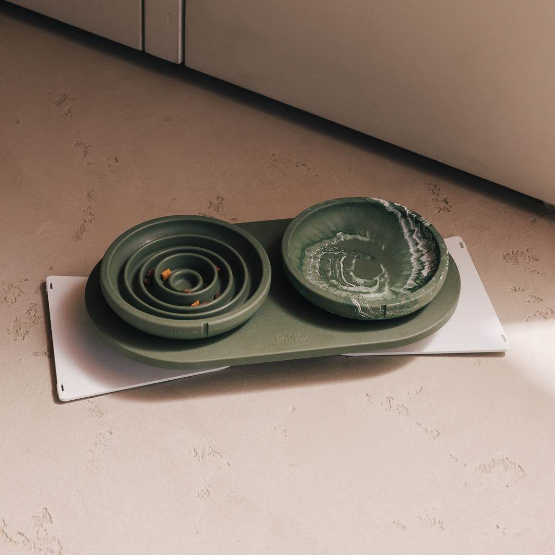 Slow Feeder Bowl for Cats product image