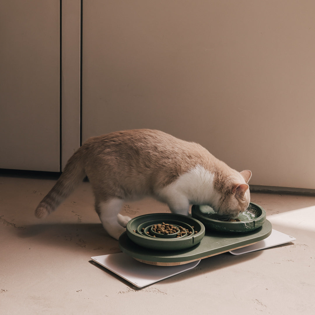 Whisker Friendly Bowl product image