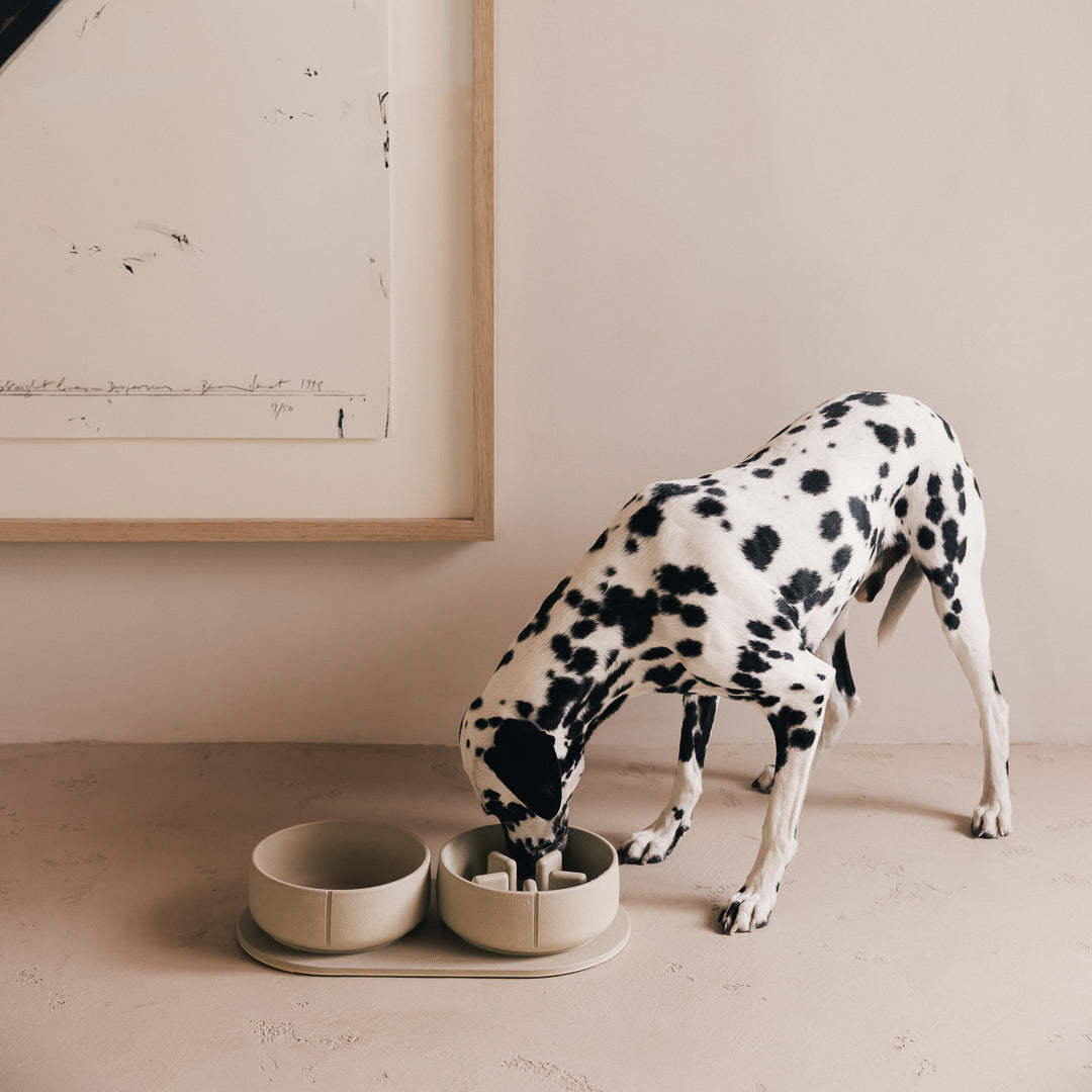Slow Feeder Bowl product image