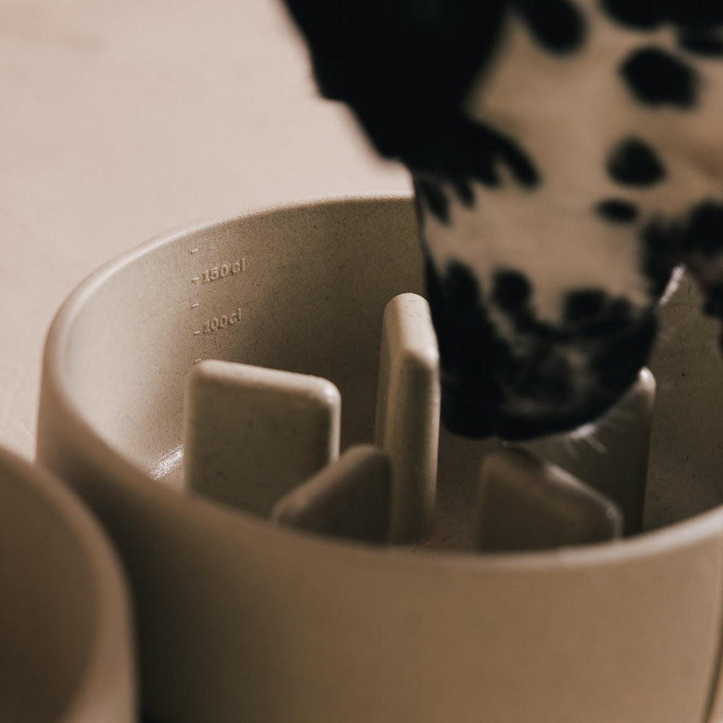 Slow Feeder Bowl product image