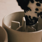 Slow Feeder Bowl product image