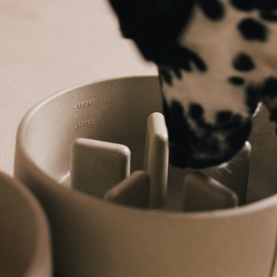 Slow Feeder Bowl product image