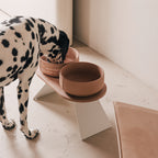 Tray for Dogs product image