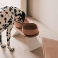 Perfect Posture Bundle for Dogs product image
