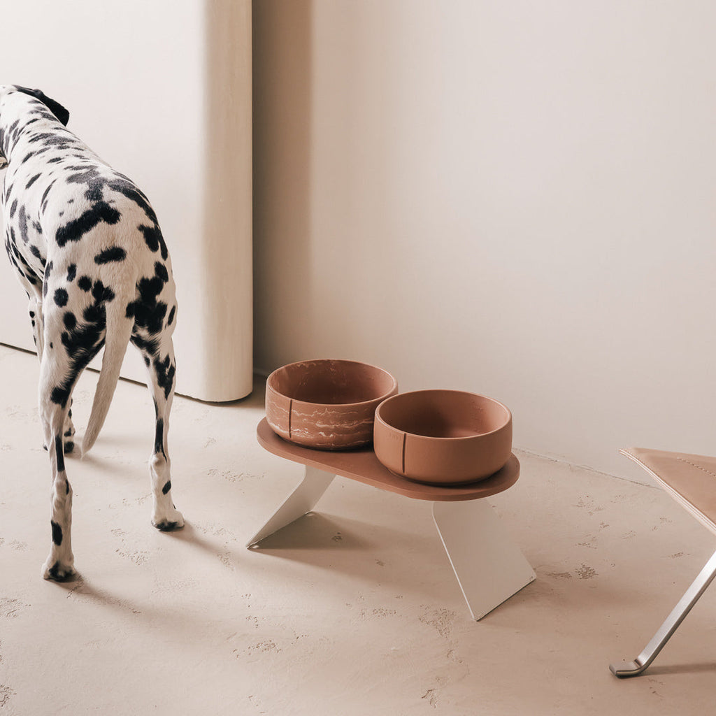 Perfect Posture Bundle for Dogs product image