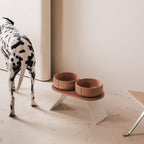Perfect Posture Bundle for Dogs product image