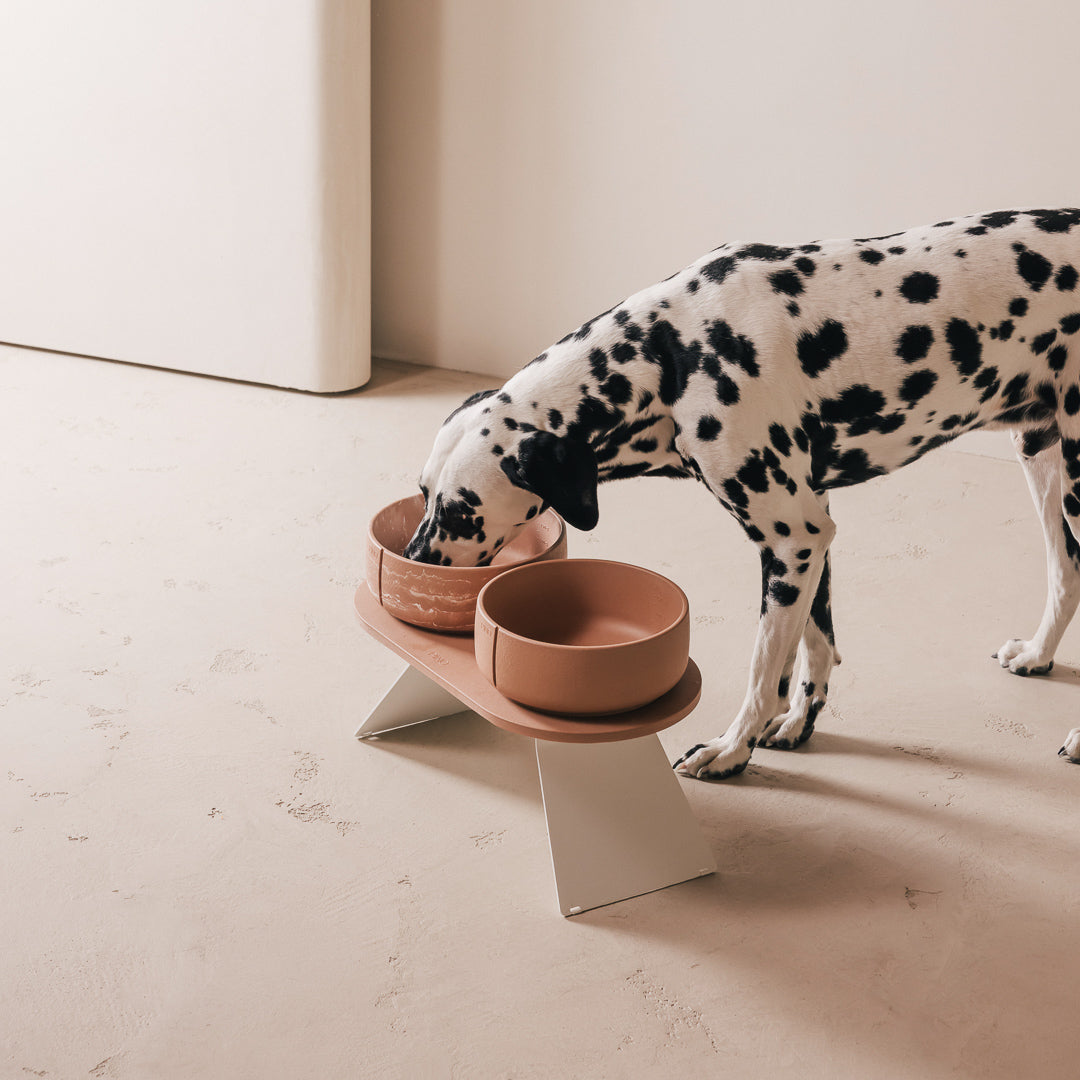 Perfect Posture Bundle for Dogs product image