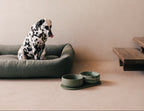 Classic Bowl product image