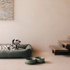 Tray for Dogs product image