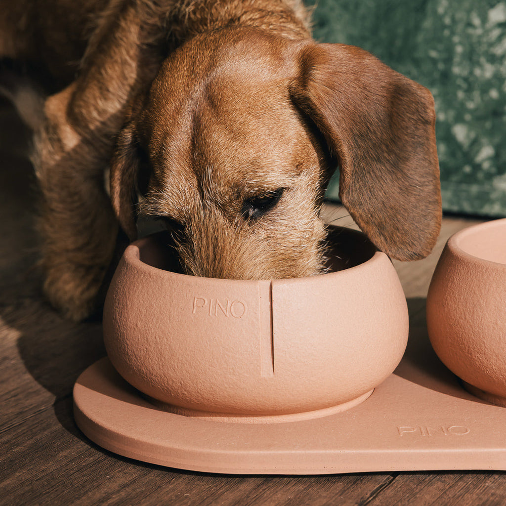 Long Ears Bowl product image