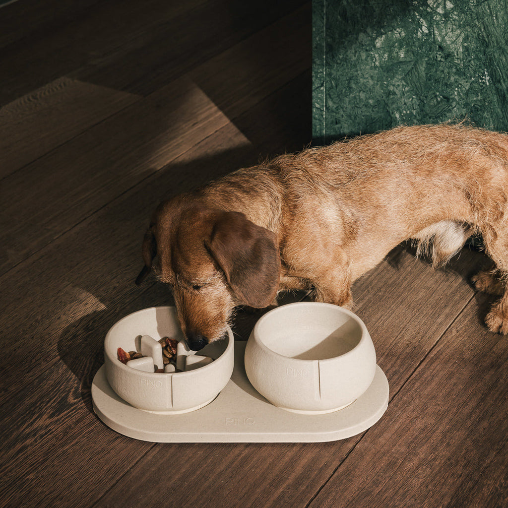 Slow Feeder Bowl product image