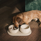 Slow Feeder Bowl product image