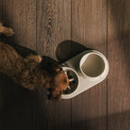 Tray for Dogs product image