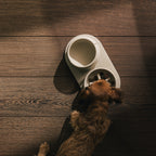Tray for Dogs product image