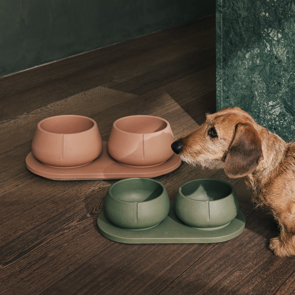 Long Ears Bowl product image