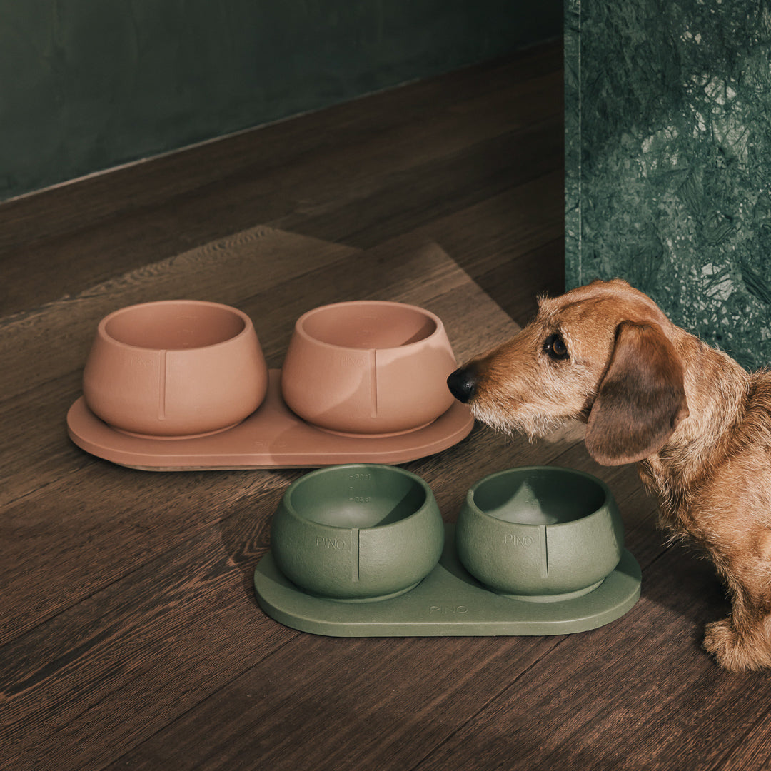 Long Ears Bowl product image