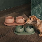 Long Ears Bundle product image