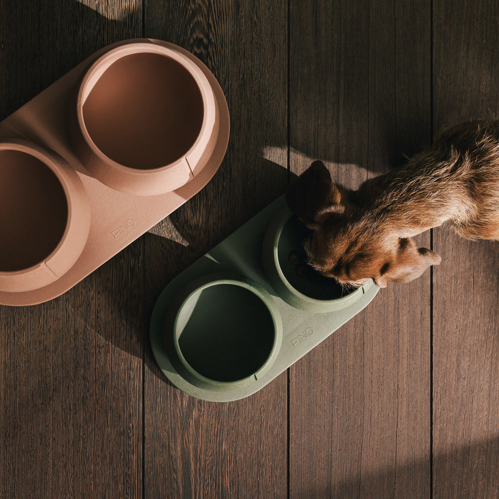 Tray for Dogs product image