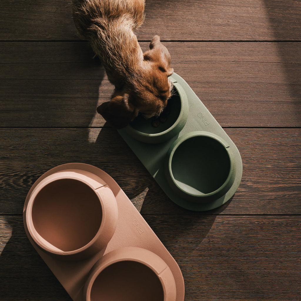 Tray for Dogs product image