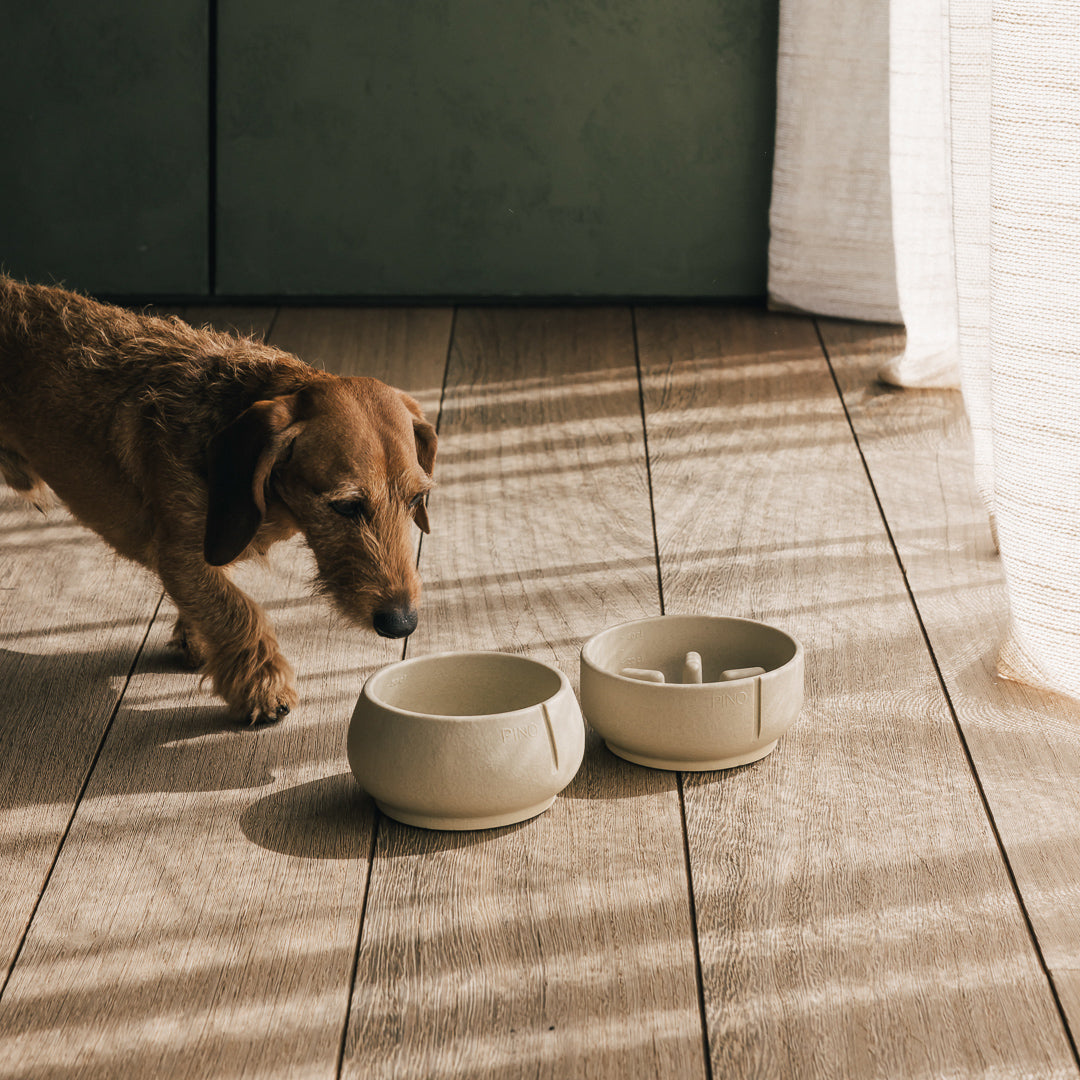 Slow Feeder Bowl product image