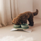 Perfect Posture Bundle for Dogs product image