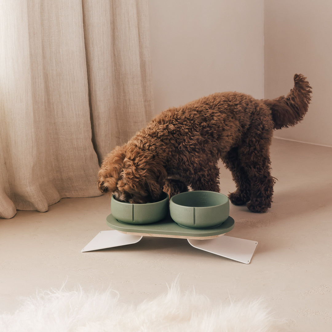 Perfect Posture Bundle for Dogs product image
