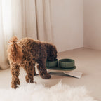 Perfect Posture Bundle for Dogs product image