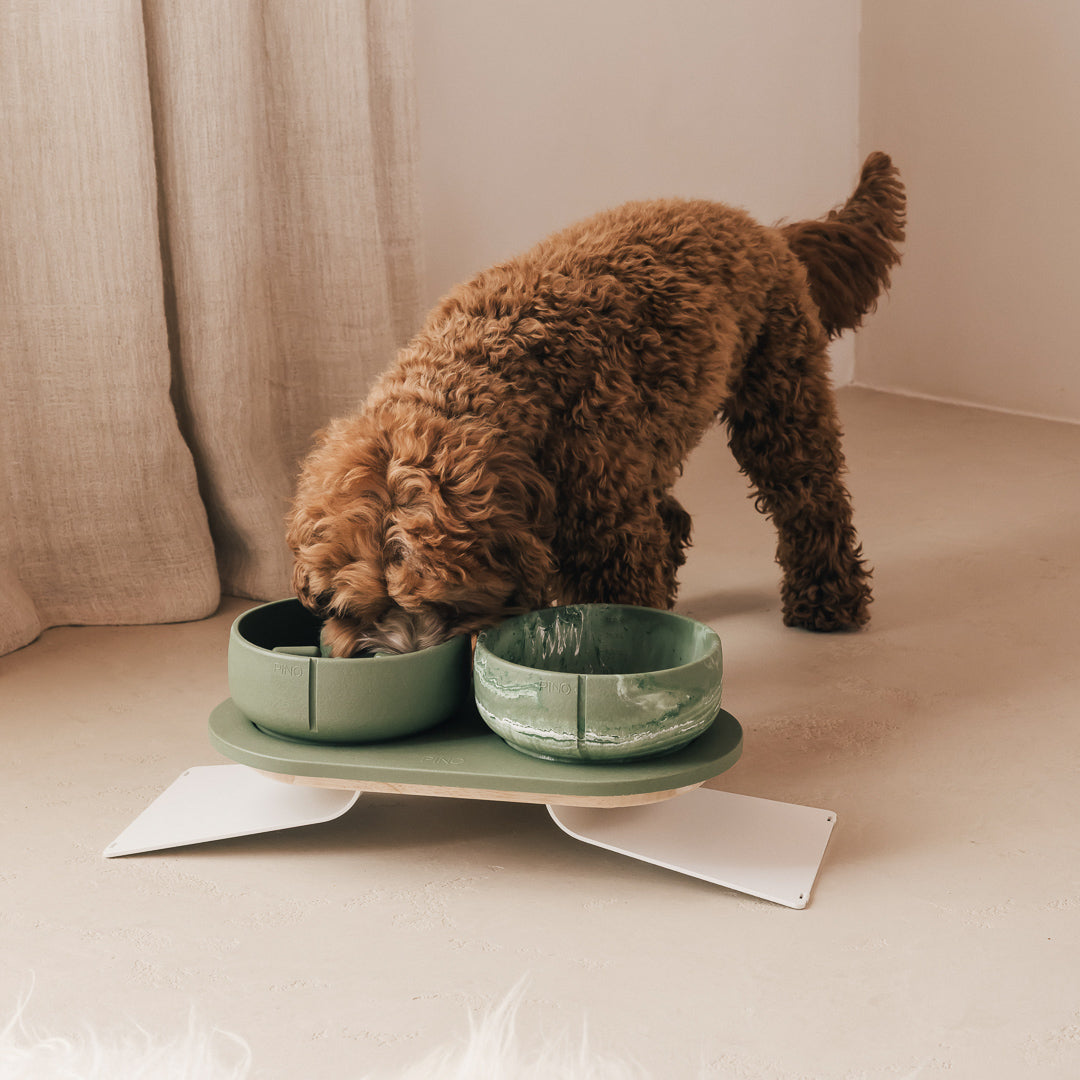 Perfect Posture Bundle for Dogs product image